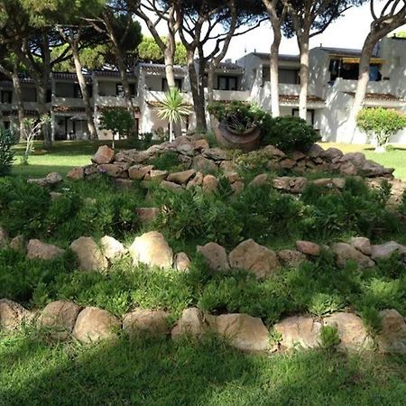 Buganvilia Apartment Praia Da Falesia Αλμπουφέιρα Εξωτερικό φωτογραφία