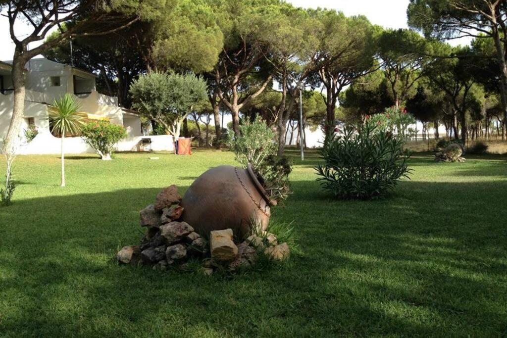 Buganvilia Apartment Praia Da Falesia Αλμπουφέιρα Εξωτερικό φωτογραφία