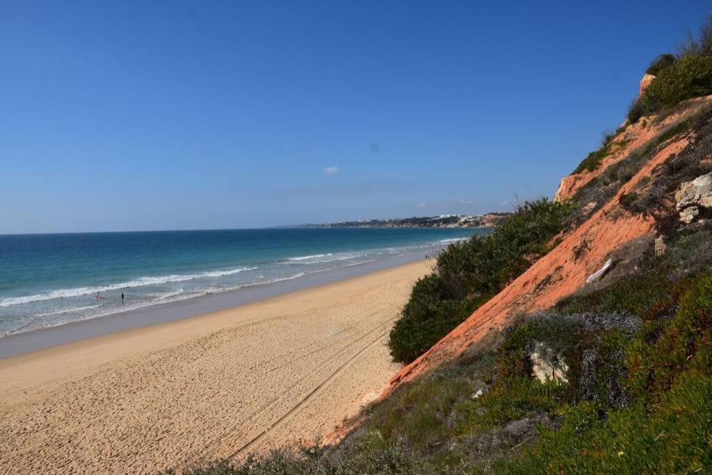 Buganvilia Apartment Praia Da Falesia Αλμπουφέιρα Εξωτερικό φωτογραφία