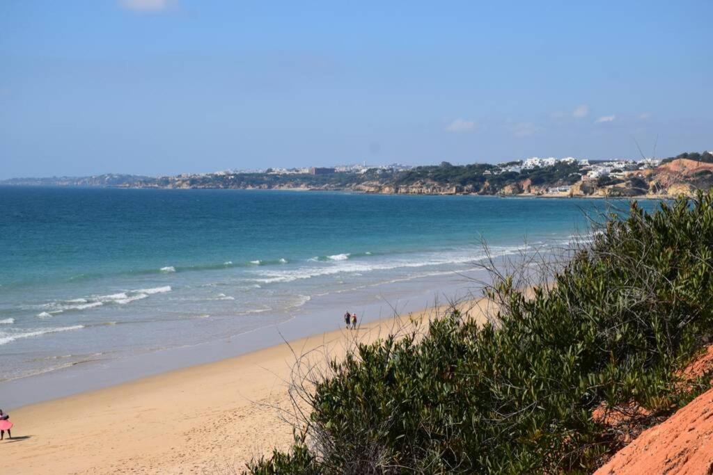 Buganvilia Apartment Praia Da Falesia Αλμπουφέιρα Εξωτερικό φωτογραφία